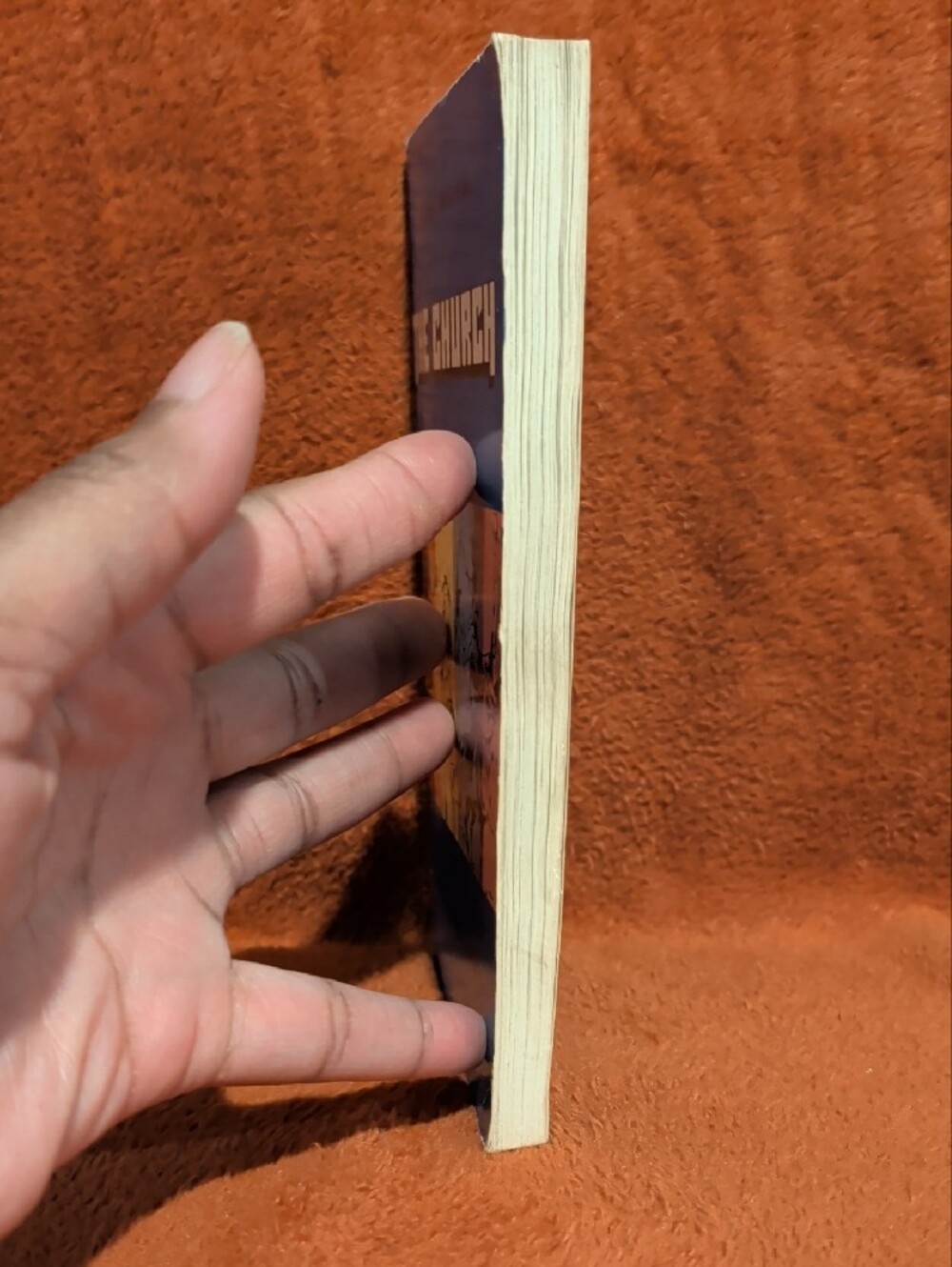 The Church Illustrated Picture Bible - Picture 9 of 10